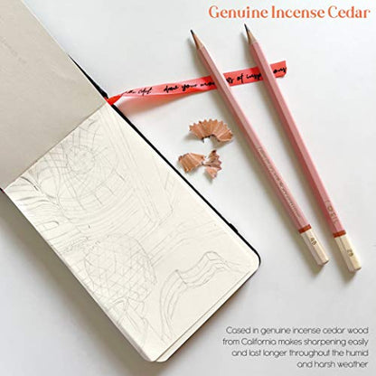 L'oeil Professional Soft Graphite Sketching Pencils Set of 12 (Selected 3H-10B) in Incense Cedar Wood for Pencil Drawing, Sketching, Shading for Beginners & Pros (Pink)