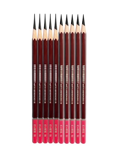 Professional Drawing Charcoal Pencils Set, 10 Piece Art Supplies with Soft Medium Hard for Sketching,Charcoal Art,Drawing Charcoal Pencils for Sketching,Art Supplies(soft 10 Piece)