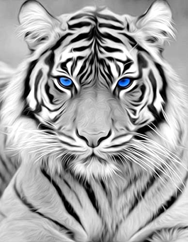 RICUVED Diamond Art Kits for Adults, White Tiger Diamond Art Full 5D Diamond Art Kits Tiger Rhinestone Picture Art Craft for Home Wall Decor 11.8x15.7 Inch - color: Tiger