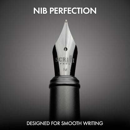 SCRIVI PENS Fountain Pen Set, Medium Nib, 5 Ink Cartridges, Black - color: Black, style: Medium Nib