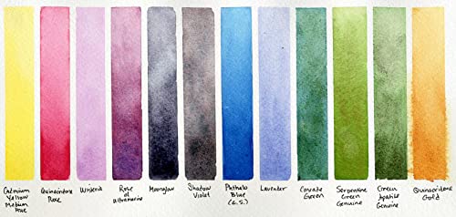 DANIEL SMITH Hand Poured Watercolor Half Pans, Color of Inspiration Set with 12 Watercolor Pans, 12 Empty Pans, 1 Metal Palette (total 25 pieces) 285650103 - style: Inspirational Half Pan Set of 12 Colors with Metal Case and 12 Empty Containers