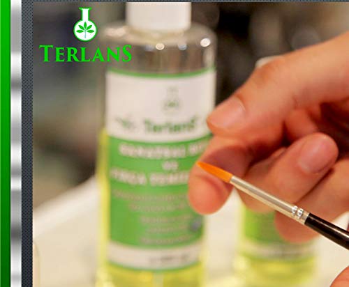 TERLANS Professional Odorless Oil Paint Thinner 100 ml (3.38 Fl.Oz.) – Controlled and Smooth Dilution, Completely Odorless Turpentine Substitute for Painting