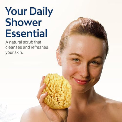HartFelt Gentle Exfoliation Yellow Sea Sponge 4in | Natural Shower Sponges for Bathing for Men and Women | Rich Lather - size: 1 Count (Pack of 1), style: Yellow Sea Sponge