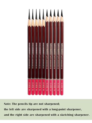 Professional Drawing Charcoal Pencils Set, 10 Piece Art Supplies with Soft Medium Hard for Sketching,Charcoal Art,Drawing Charcoal Pencils for Sketching,Art Supplies(soft 10 Piece)