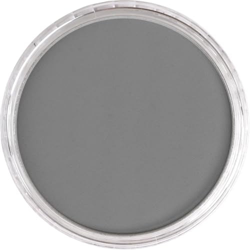 PanPastel Artist Pastels by GOLDEN, Neutral Gray, 2.44” / 62mm Pan Diameter, Professional Artist Pastels, Unique Pan Format (cake-like) - color: Neutral Grey, size: 1 Count (Pack of 1)