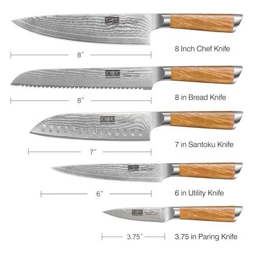 HOSHANHO Damascus Kitchen Knife Set 5PCS, Sharp Chef Knives Ergonomic Grip | Professional Cooking Knife Set | Japanese Super Steel | 15° Edge | 62 HRC | Ergonomic Olive Wood Handle | Housewarming Gift - style: 5 Pieces Knife Set