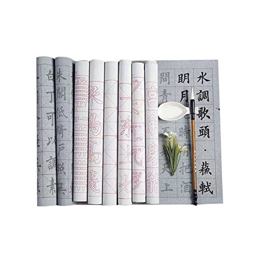10 Pcs Water Drawing Writing Cloth Sets Reusable Water Paper Chinese Magic Mat for Students Chinese Calligraphy Practice with Water Dish, Brush Pen