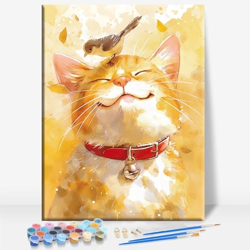 Aeontinity CAT Bird Animal Framed Canvas DIY Paint by Numbers Kit Bar Cafe Cave Home Room Wall Bathroom Porch Patio Decor Gift, 16 x 12 Inch - color: CAT BIRD