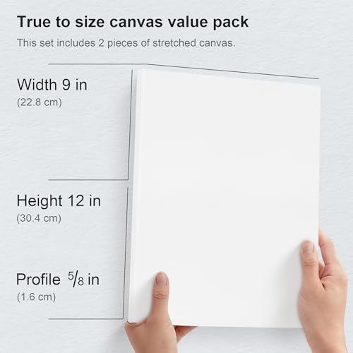 PHOENIX 9x12 Inch Pack of 2 Canvas - Stretched Canvases for Painting, 8 Oz Triple Primed 5/8 Inch Profile 100% Cotton White Blank Framed Canvas for Oil Acrylic & Pouring Art - size: 9"x12", style: Studio 2 Pack Set