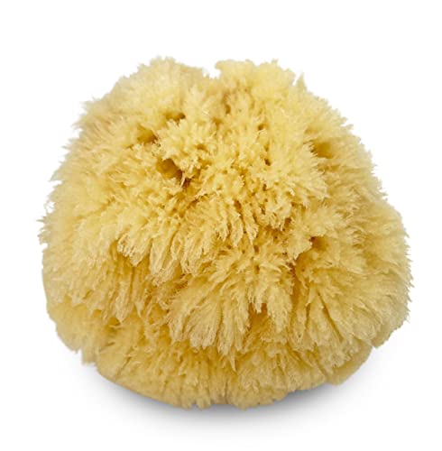 Natural Sea Sponge 5pk Spa Gift Set Bath Shower & Facial Care, Premium Bag | 5 assorted sizes for bath, shower & face. Hypoallergenic, kind on skin. Gift for moms, brides & teens. Comes in premium bag. - style: 5 Piece set in bag