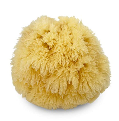 Natural Sea Sponge 5pk Spa Gift Set Bath Shower & Facial Care, Premium Bag | 5 assorted sizes for bath, shower & face. Hypoallergenic, kind on skin. Gift for moms, brides & teens. Comes in premium bag. - style: 5 Piece set in bag