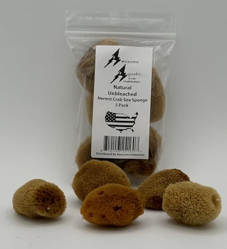 5 Unbleached Natural Hermit Crab Sea Sponges Water Dish Humidity Habitat | Natural hydration Reusable Climbing surface Shelter Enrichment Highly absorbent Long lasting Chemical free Water Safety - size: UnBleached 5 Pk