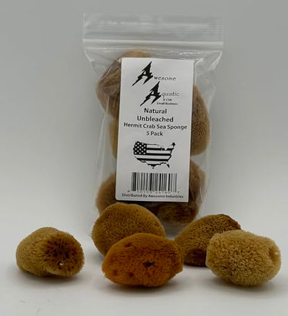 5 Unbleached Natural Hermit Crab Sea Sponges Water Dish Humidity Habitat | Natural hydration Reusable Climbing surface Shelter Enrichment Highly absorbent Long lasting Chemical free Water Safety - size: UnBleached 5 Pk