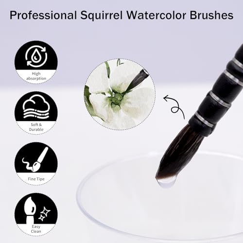 Professional Watercolor Sable, Squirrel Hair Paint Brushes, Mop Round Tip Detail Paintbrush Set for Oil Painting, Gouache, Detailing, Acrylic