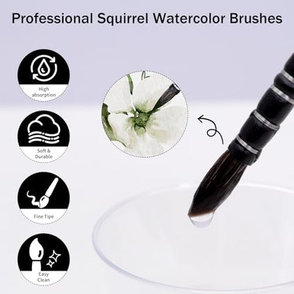 Professional Watercolor Sable, Squirrel Hair Paint Brushes, Mop Round Tip Detail Paintbrush Set for Oil Painting, Gouache, Detailing, Acrylic