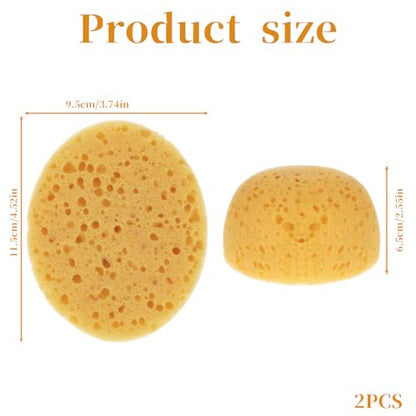 2 Piece Knockdown Texture Sponge Drywall Wall Texture Patch Sponges Home Decor Sponge for Patch/Repair Ceiling Round Clay Sponges for DIY Painting Ceiling Wall Textures, Pottery, Textures