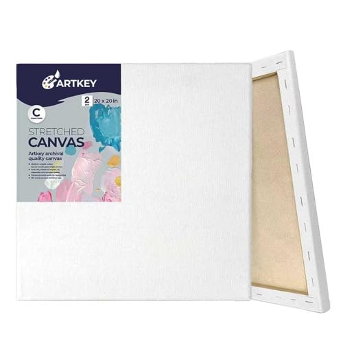 Large Canvases for Painting 20x20 Inch 2-Pack, 12.3 oz Triple Primed Acid-Free 100% Cotton Stretched Canvas, Blank Large Canvas for Oil Paint Acrylics Pouring & Wet Art Media - size: 20"x20"(2-Pack), style: Studio