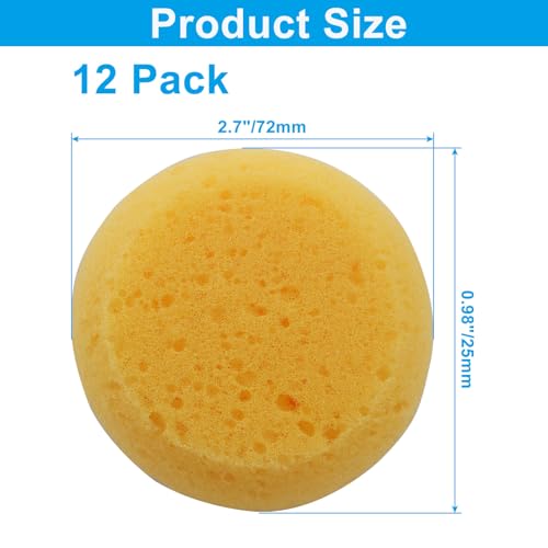 12 Pack Round Pottery Sponges | High Absorption, Horse Tack Cleaning, Leather Care, Painting & Kitchen