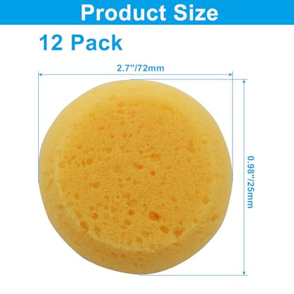 12 Pack Round Pottery Sponges | High Absorption, Horse Tack Cleaning, Leather Care, Painting & Kitchen