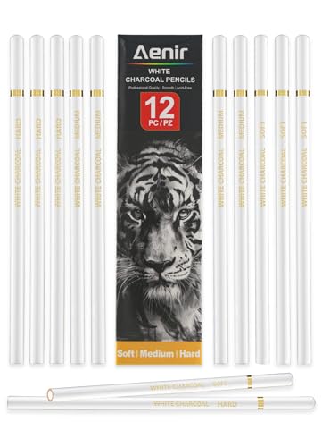 Aeni White Chalk Pencil, Pack of 12, Charcoal Pencils for Drawing | Art Supplies for Highlighting, Portraits, Landscapes, Sketching, Blending, Artist Supplies for Beginners & Pro Artists - color: White