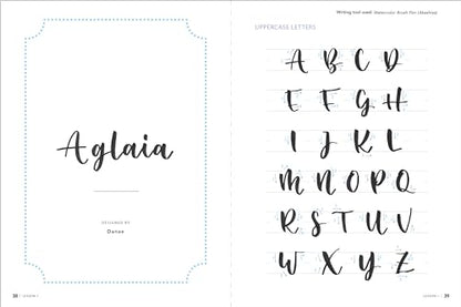 A Beginner's Guide to Modern Calligraphy & Brush Pen Lettering: Learn to Create Beautiful Hand Lettering for Invitations, Cards, Journals and More! (400 Step-by-Step Examples)