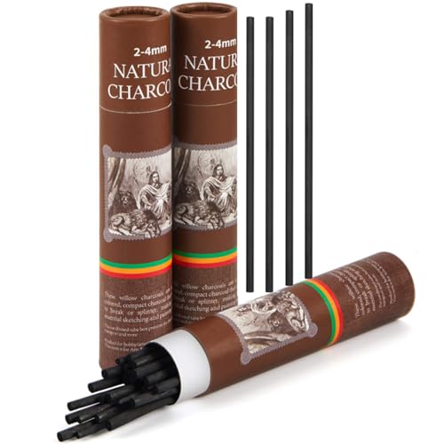 Gueevin 50 Pcs Soft Willow Charcoal Sticks Drawing,2-4mm | For Artists Beginners Students, Vine Charcoal Bulk for Sketching Shading Fine Art, Assorted Sizes, Back to School Gifts - size: 2-4mm