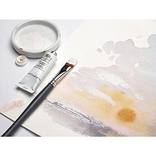Winsor & Newton Designers' Gouache Introductory 10-Tube Paint Set, 14ml,Blue,green,ivory,white | Opaque matt colour, perfect for creating bold, vibrant artworks. Popular with designers, illustrators and commercial artists. - style: Introductory Set 10 x 1
