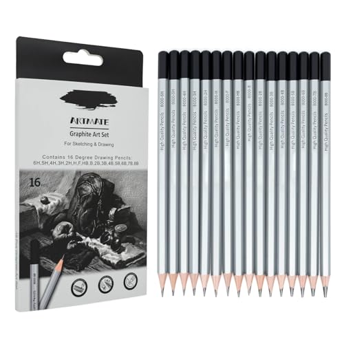 16 Pieces Graphite Sketching Pencils Set (8B-6H), Sketch Pencils for Drawing, Shading and Drafting, Art Supplies Kit for Artists, Adults - style: 16 Pcs