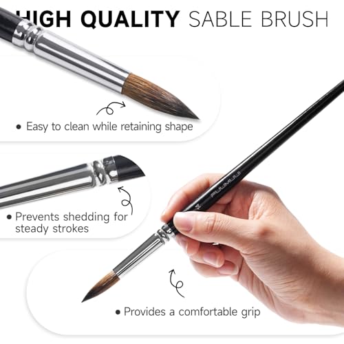 Watercolor Brush Set, Fuumuui 7pcs Professional Sable Paint Brushes with Extended Needle, Round Point, Flat, Dagger, Cat's Tongue for Watercolor, Acrylic, Gouache – Detail & Wash Painting - color: Black7