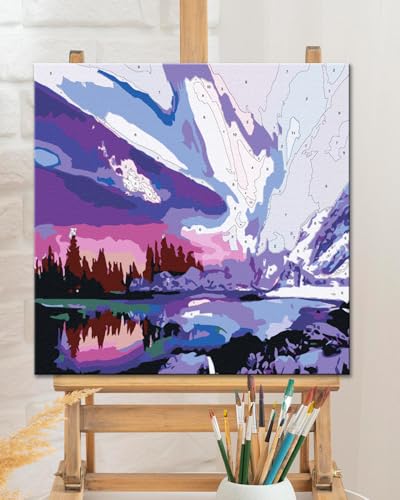 TOCARE Framed Paint by Numbers Kit for Adults Beginners & Kids Ages 8-12, Aurora Paint by Number with Frame,Northern Lights Paint by Numbers Framed Canvas(10x10 Inch, Without Easel) - color: TC-F-213