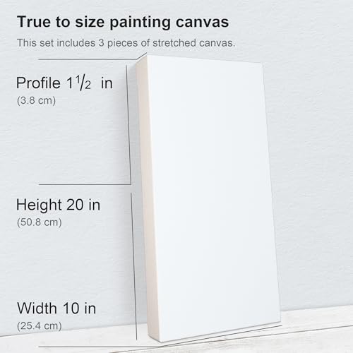 PHOENIX 10x20 Inch 3 Pack Gallery Canvas - 1.5 in Thick Long Canvases for Painting - Deep Edge 100% Cotton 11 Oz. Gesso Primed White Blank Professional Canvas Oil & Acrylic Paints - size: 10"x20", style: Gallery
