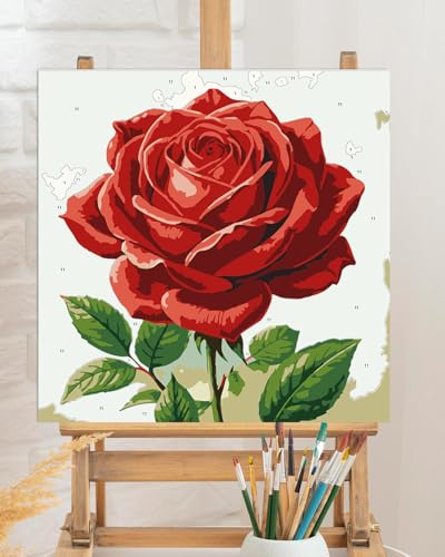 TOCARE Framed Paint by Numbers Kit for Adults Beginner & Kids Ages 8-12,Red Rose Paint by Number Framed, Simple Oil Paint by Number Kits Valentines'Day Gift (10x10 Inch, Without Easel) - color: TC-F-93
