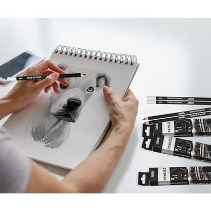 Geyoga 36 Pcs Professional Charcoal Pencils Soft, Medium and Hard for Drawing Charcoal Pencils for Sketching Shading Drawing Blending Portrait(Black, Hard) - style: Hard