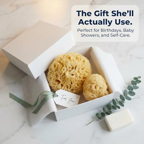 Natural Sea Wool Sponges 2pk, 6"-7" Body Sponge + 3"-4" Facial, Bath & Face | Softest sea sponge variety. Sustainably harvested & hypoallergenic. Perfect body + face set, gift-ready in a drawstring bag.