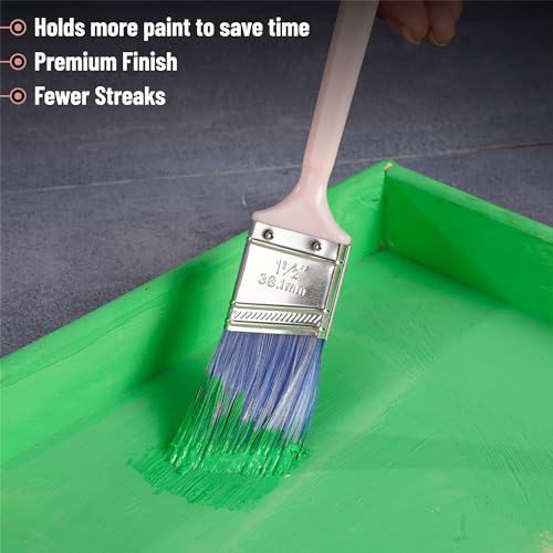 Bates 4Pack Plastic Handle Paint Brushes - Pastel Colors, Stain, Furniture & Wall Painting - color: Pastel Plastic Handle, size: 4 Pack, 1.5", 2", 2.5", 3"