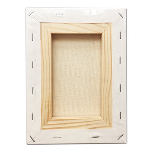 Stretched Canvas 6" X 8" Pack of 6 - size: 6"x8"x6 (standard)