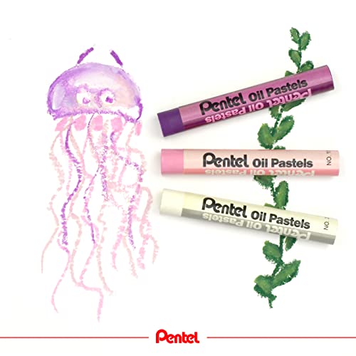 Pentel Oil Pastels - Set 50 - size: 50 Count (Pack of 1)