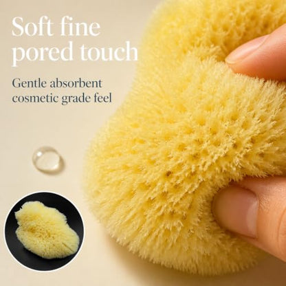 Natural Sea Silk Sponges 12pk, Cosmetic Grade Makeup & Blending Facial Care
