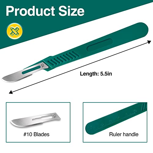 YixangDD 10 PCS Scalpel Blades with #10 Scalpels Surgical Blades - color: 10 PCS Handle With Blades #10