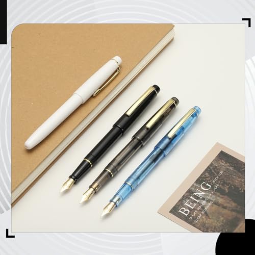 PATIKIL Fountain Pen Medium Nib, Fountain Pen Barrel Handcrafted Pen for Professional Office Journaling Gifts, Transparent Blue - color: Transparent Blue