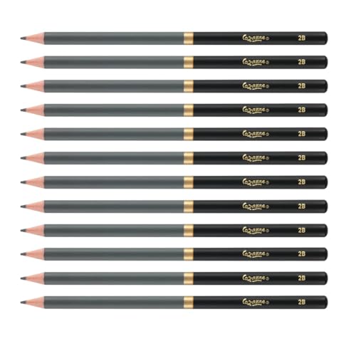 Cezanne Graphite Drawing Pencils Set - 2B, Set of 12 Break-Resistant Graphite Lead, Easy-to-Sharpen Sketch Pencils, Master Artist Quality Graphite Pencils for Technical and Artistic Drawing - color: 2B, size: Set of 12