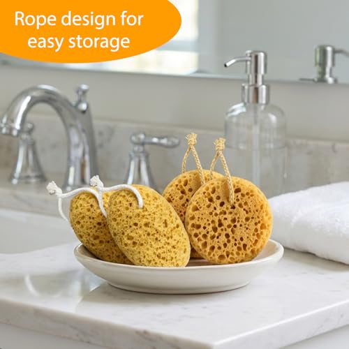 Sea Sponge, Natural Sea Sponges for Shower, 4-Piece Set with 2 Soft and Absorbent Bath Sponges for Gentle Skin Care and Daily Cleansing, Long-Lasting and Reusable Natural Sponges