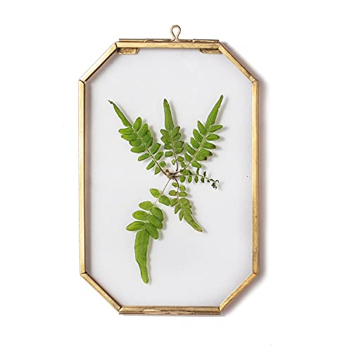 NCYP 4" x 6" Small Glass Floating Frame with Chain for Artwork Photo, Picture, Pressed Dried Flowers, Plant Specimen - Home Wall Hanging Decor, Octagon, Gold, Handmade (Glass Frame Only) - color: Gold, size: 4x6inches
