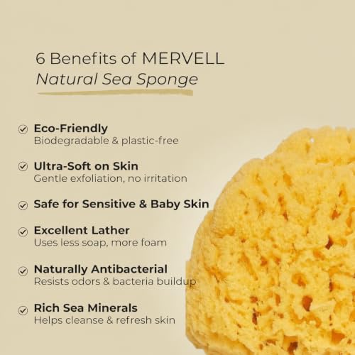 Sea Sponge for Bathing 5 inch-Softly Rough but Not Skin Irritating – Yellow, Natural Bath Sponge-Renewable Resource – Natural Sponge for Body and Shower-Lathers & Washes Really Well