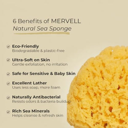 Sea Sponge for Bathing 5 inch-Softly Rough but Not Skin Irritating – Yellow, Natural Bath Sponge-Renewable Resource – Natural Sponge for Body and Shower-Lathers & Washes Really Well