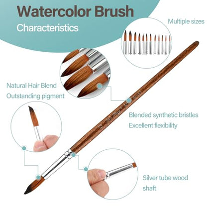 12 Pack Watercolor Brushes Professional Watercolor Painting Brushes Round Paint Brushes Detail Paint Brushes for Acrylics Gouache Oil
