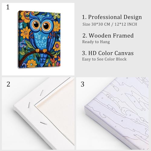 Natuyalo Framed Paint by Numbers Kit for Adults Beginners, Owl Easy Paint by Number with Frame, Animals Acrylic Paint by Number Kits on Canvas 12x16 Inch - color: Color-06