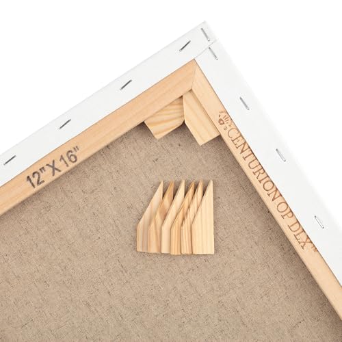 Centurion Deluxe Professional Oil Primed Linen Stretched Canvas, 11oz Linen, 8x10 - Box of 6, 0.67" Deep Canvases, Kiln-Dried Stretchers, Back Stapled, Premium Medium Weight Canvas for Oil Paintings - size: 8"x10"