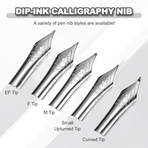 PATIKIL 0.38 mm Line Width Fountain Pen Nib Replacement, 3 Pack 304 Stainless Steel Special Spare Ink Dip Calligraphy Pen Nib for Drawing Writing Signing, Silver(EF Tip) - color: Silver
