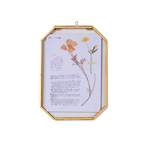 NCYP Small 5 x 7 inch Floating Glass Frame with Chain for Picture, Photo, Pressed Dried Flowers, Plant Specimen - Vintage Octagon Home Gallery Wall Mounted Decor, Gold (Glass Frame Only) - color: Gold, size: 5x7inches